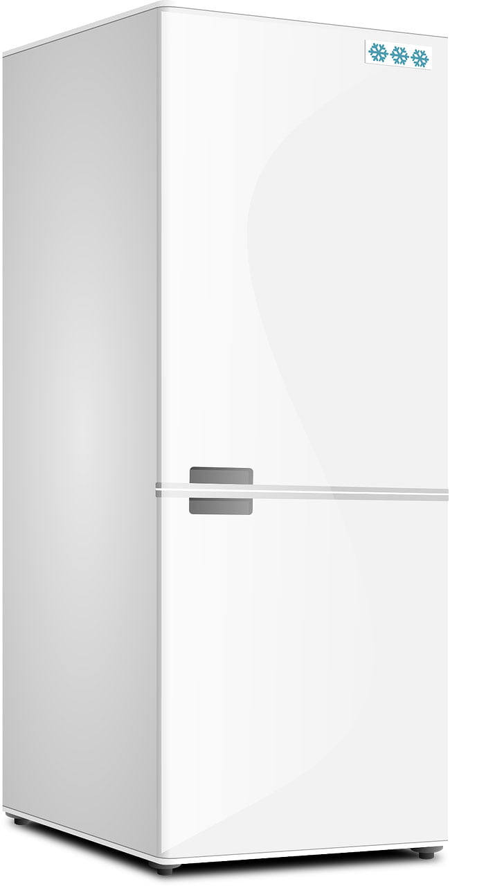 FIRE AND ICE FRIDGEFREEZER SAFETY Electrical Times