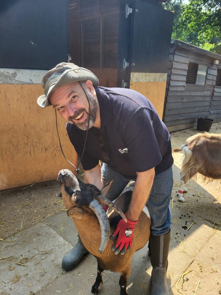 Electricity workers serve breakfast to 100 rescue goats in Kent