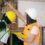 Gender gap: The construction roles where women can bridge the labour shortage