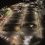 Södra Timber Yard Upgraded with Energy-Efficient High Mast Lighting Solution from CU Phosco