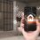 Career expansion and new business opportunities – why electricians need a smart home qualification