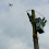 Team UAV delivers over 500 drone inspections for National Grid Electricity Distribution to support AI innovation